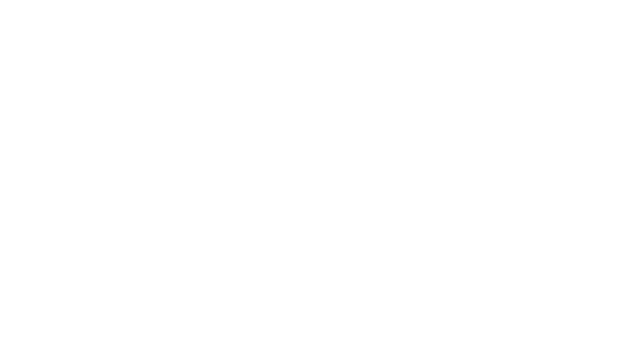 Perfect Limo